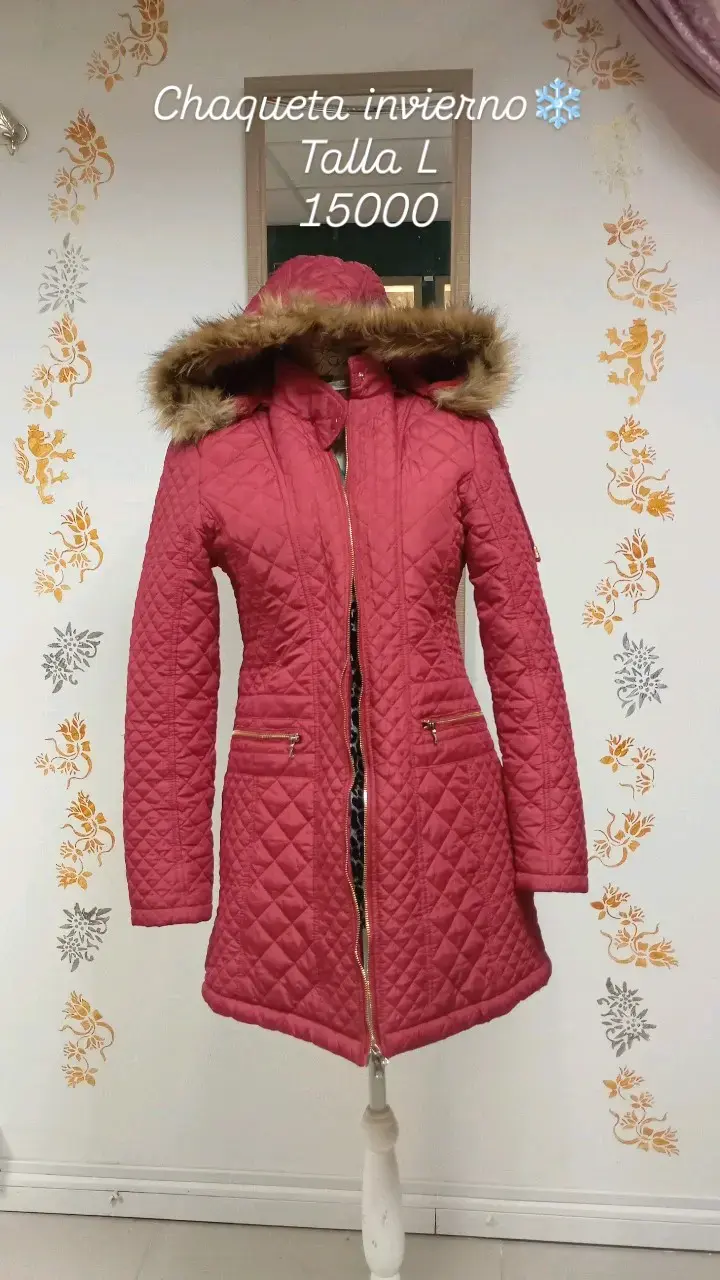 Chaqueta de invierno roja - 1