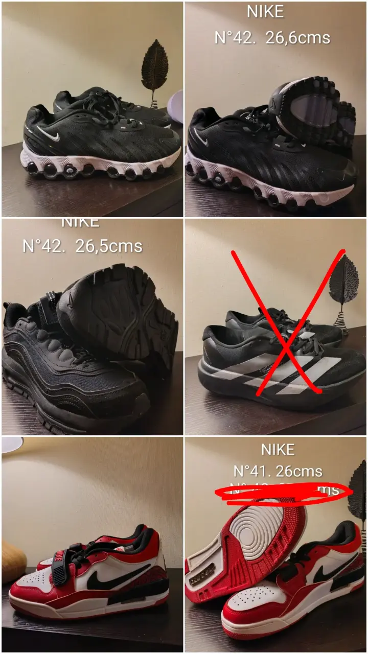 Zapatillas nuevas diferentes modelos