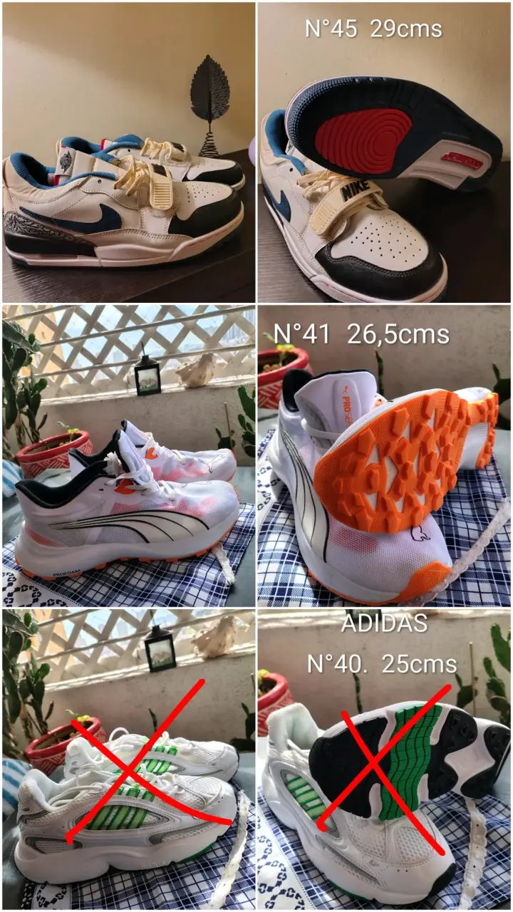 Zapatillas nuevas diferentes modelos - 3