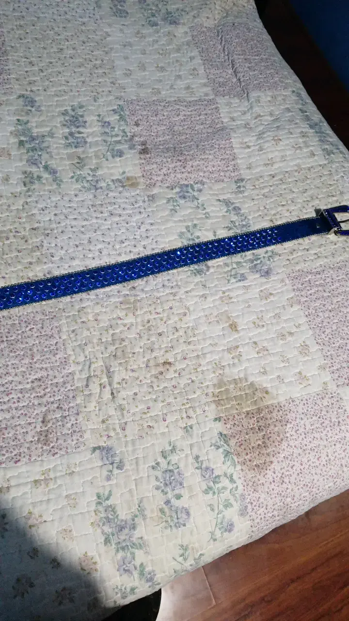 Cinturón de cuero azul con diamantes de imitacion - 3