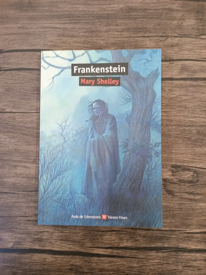 Libro Frankenstein de Mary Shelley edición Vicens Vives - 1