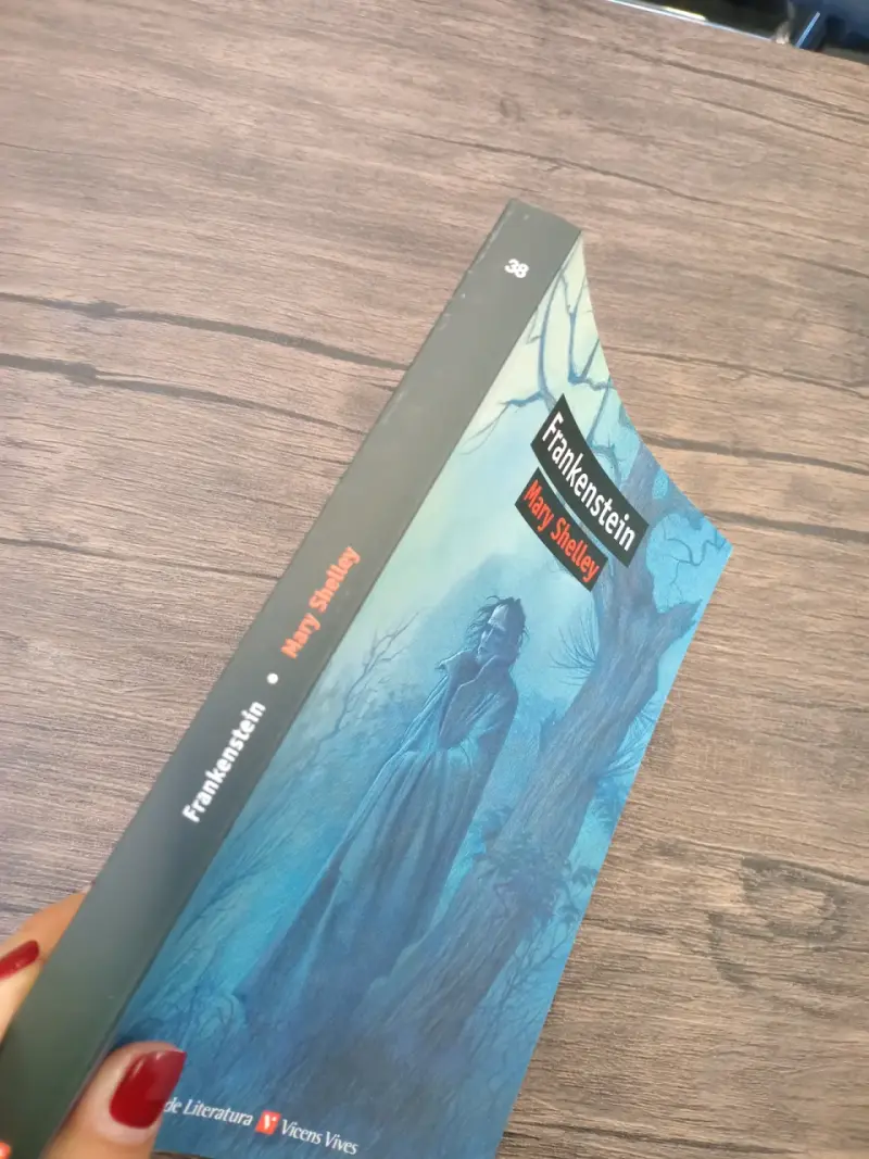 Libro Frankenstein de Mary Shelley edición Vicens Vives - 2