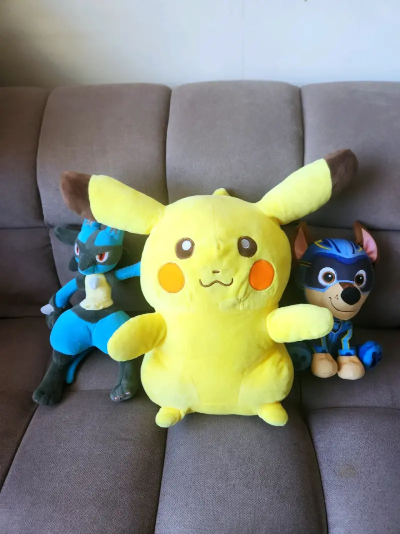 Set de 3 Peluches Pokemon y Pow Patroll - 1
