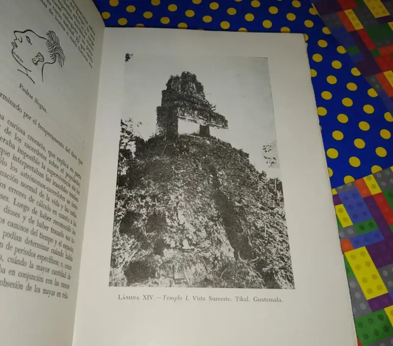 Los Mayas - Charles Gallenkamp - 5