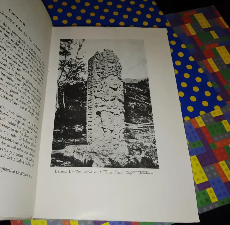 Los Mayas - Charles Gallenkamp - 6
