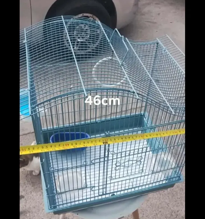 Jaula para pájaros azul con accesorios - 2