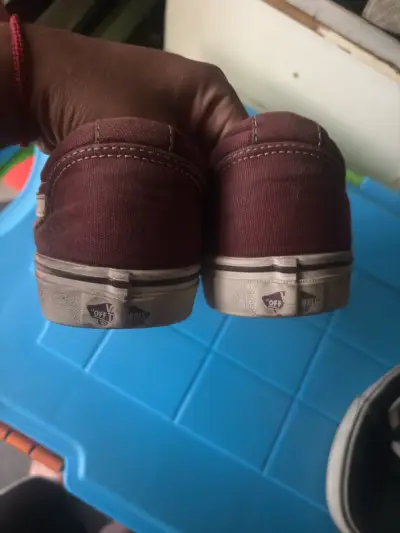 Vans burdeo - miniatura 2