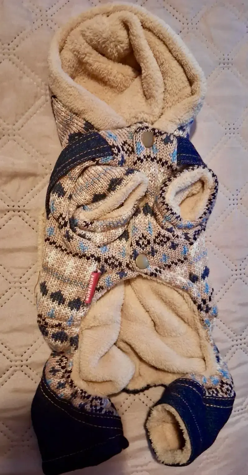 Abrigo para perro con capucha y diseño invernal - 1