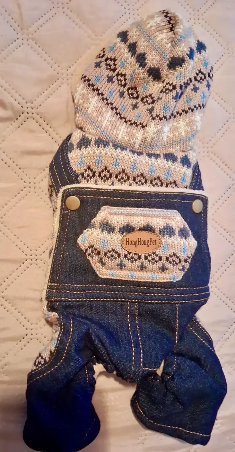 Abrigo para perro con capucha y diseño invernal - 2