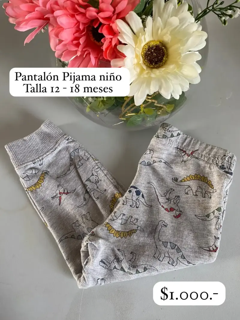 Pantalón Pijama Niño Dinosaurios Talla 12-18 Meses