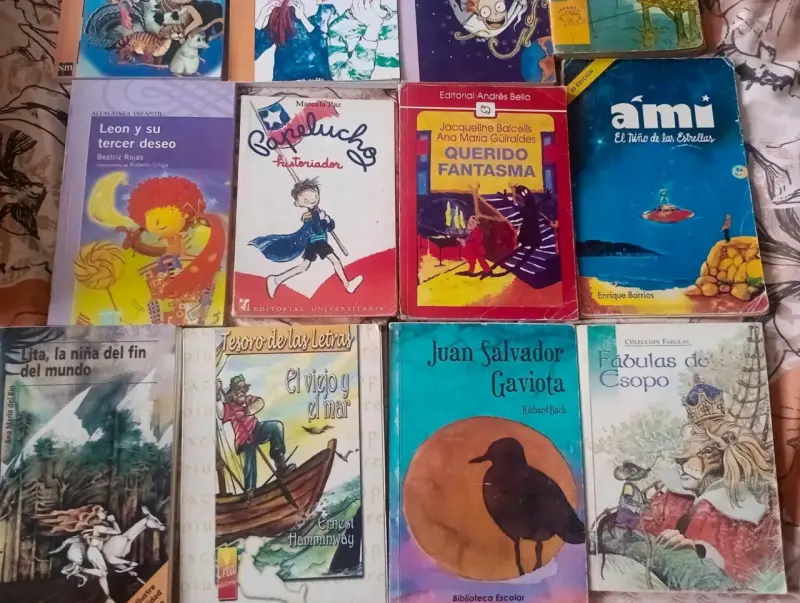 Colección de libros infantiles variados - 2