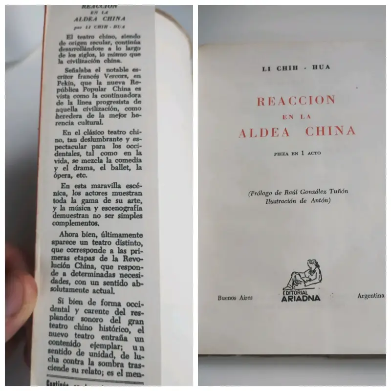 Reacción en la Aldea China' de Li Chih-Hua - 2