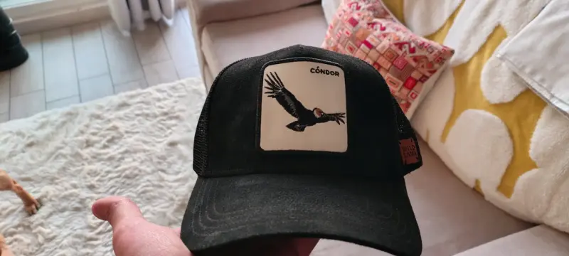 Gorra negra con diseño de cóndor Wild Lama