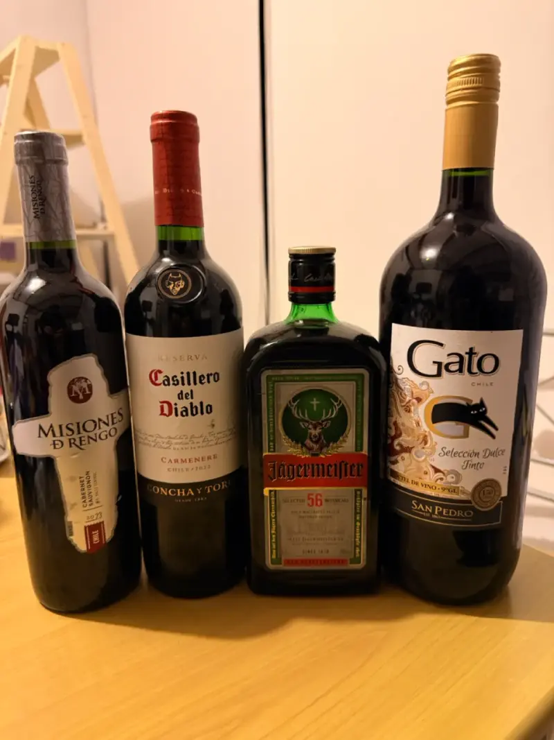 Lote de Vinos y Licor Variados
