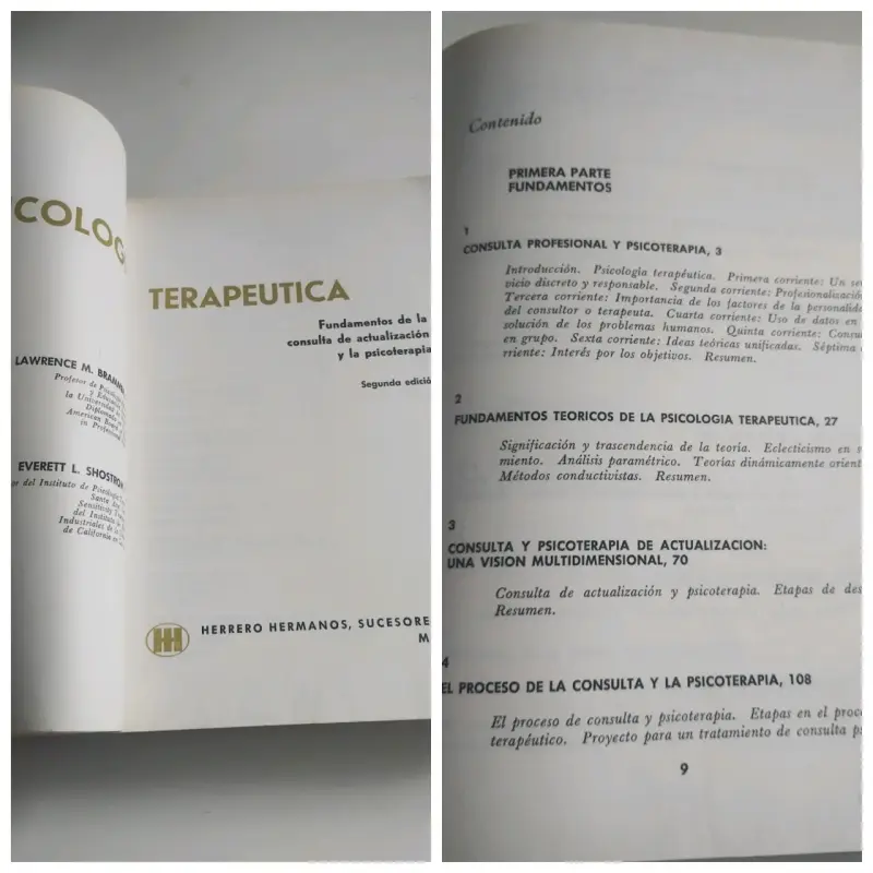 Psicología Terapéutica . Lawrence Brammer - 2