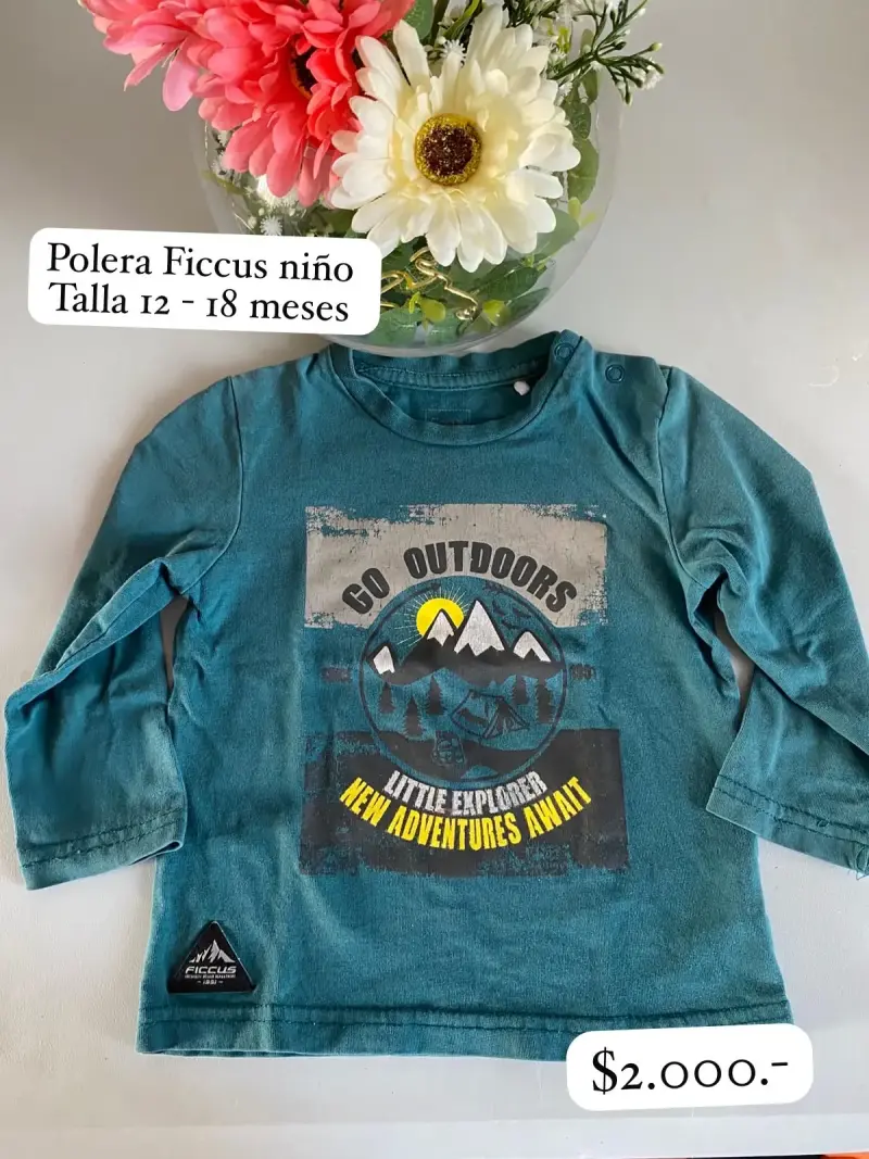 Polera Ficcus niño 12-18 meses outdoor