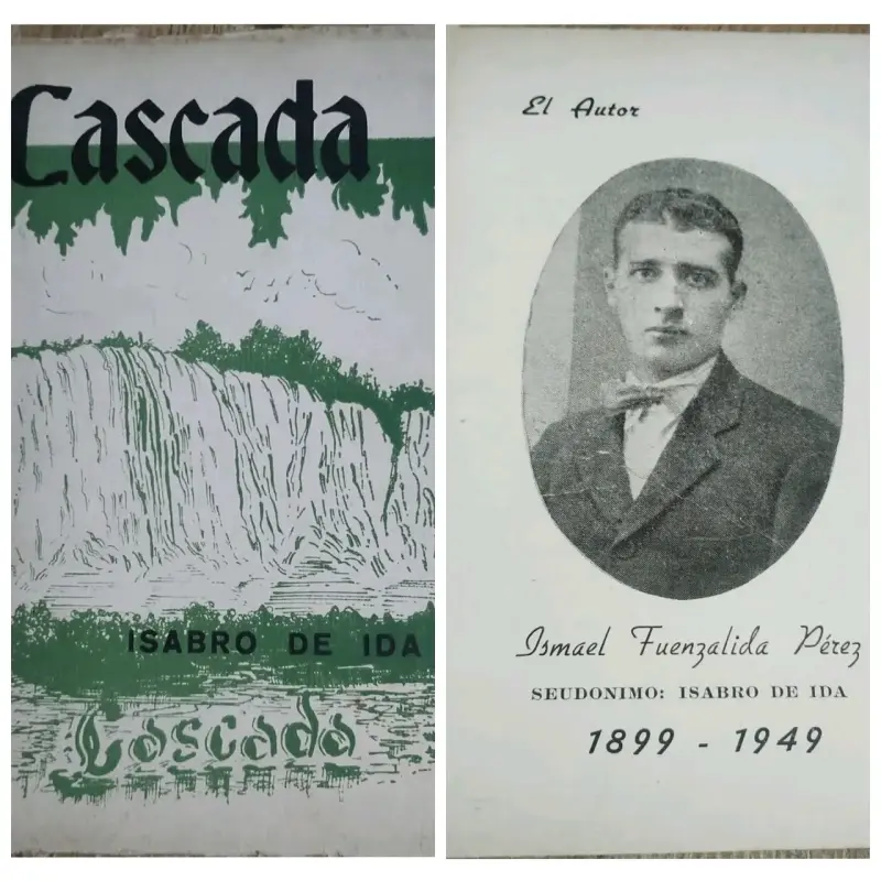 'Cascada' de Ismael Fuenzalida Pérez - 1