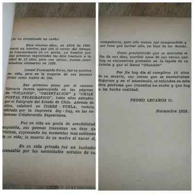 'Cascada' de Ismael Fuenzalida Pérez - miniatura 2
