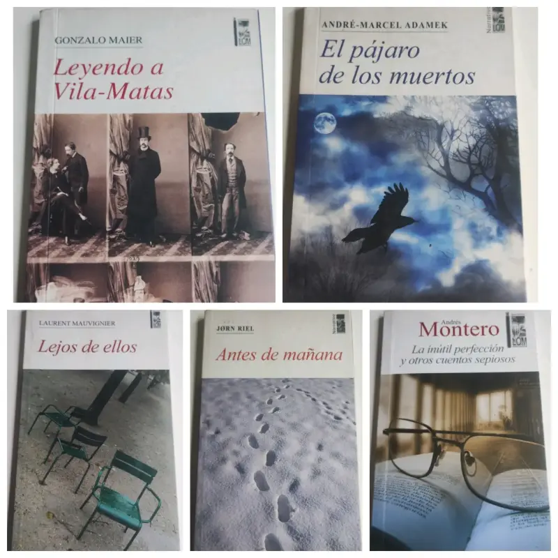 Lote de 5 libros de literatura contemporánea Lom