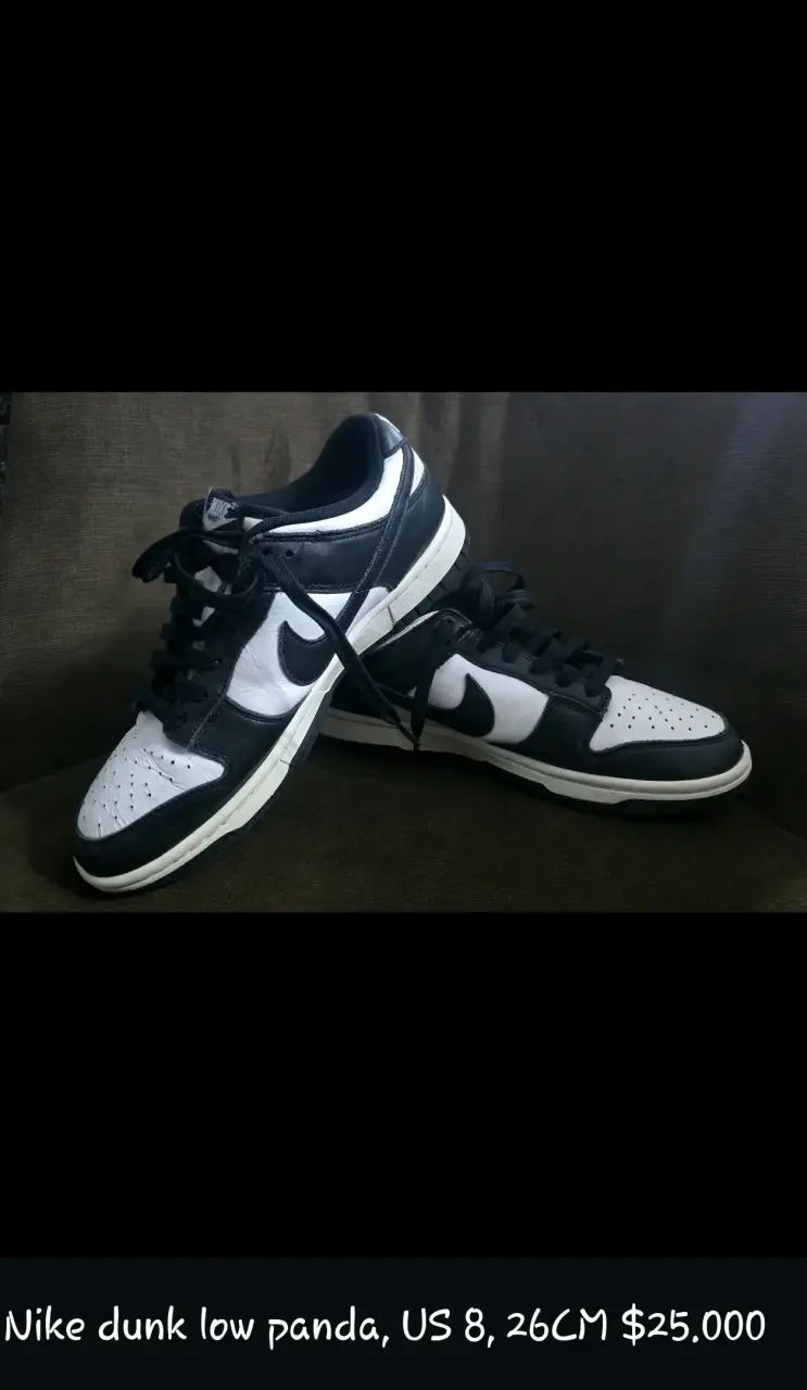 Zapatillas Nike Dunk Low Panda US 8