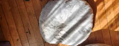 Cama para mascota acolchada y cómoda - miniatura 2