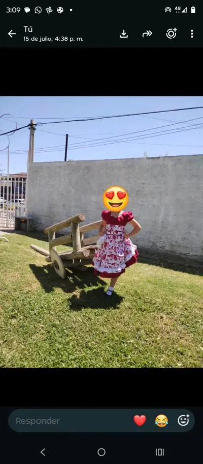 Vestido de huasa talla 10 - miniatura 2