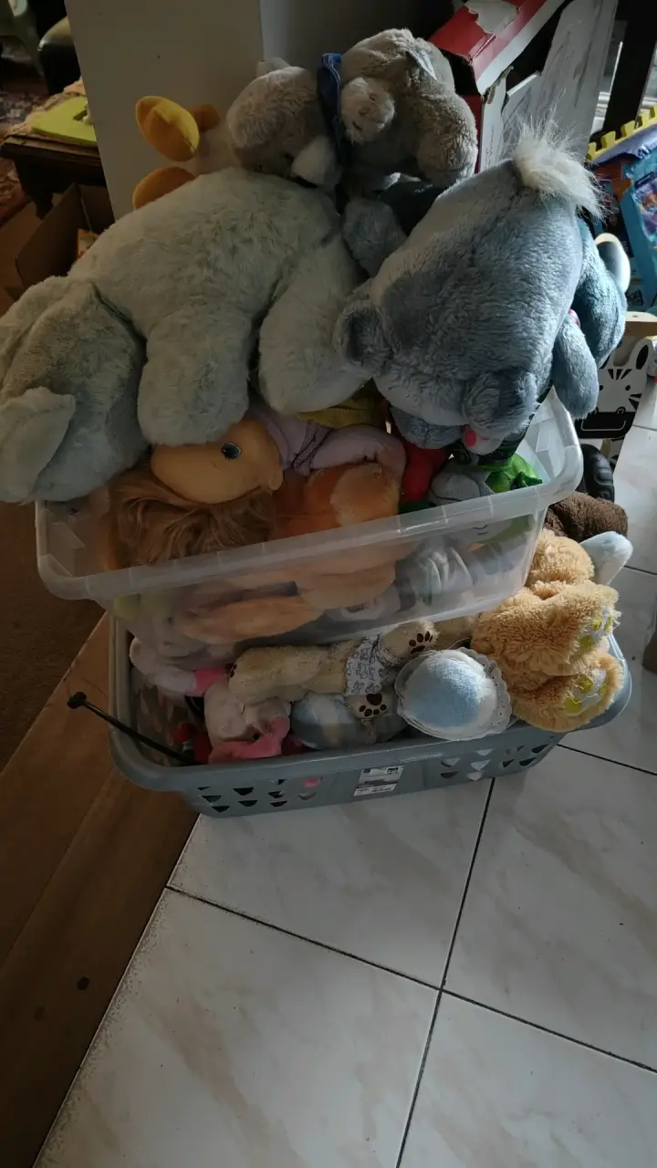 Lote de peluches y muñecos variados