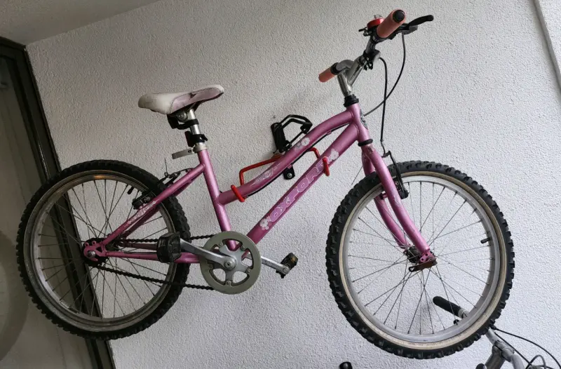 Bicicleta infantil Oxford rosa con ruedas de 20 pulgadas