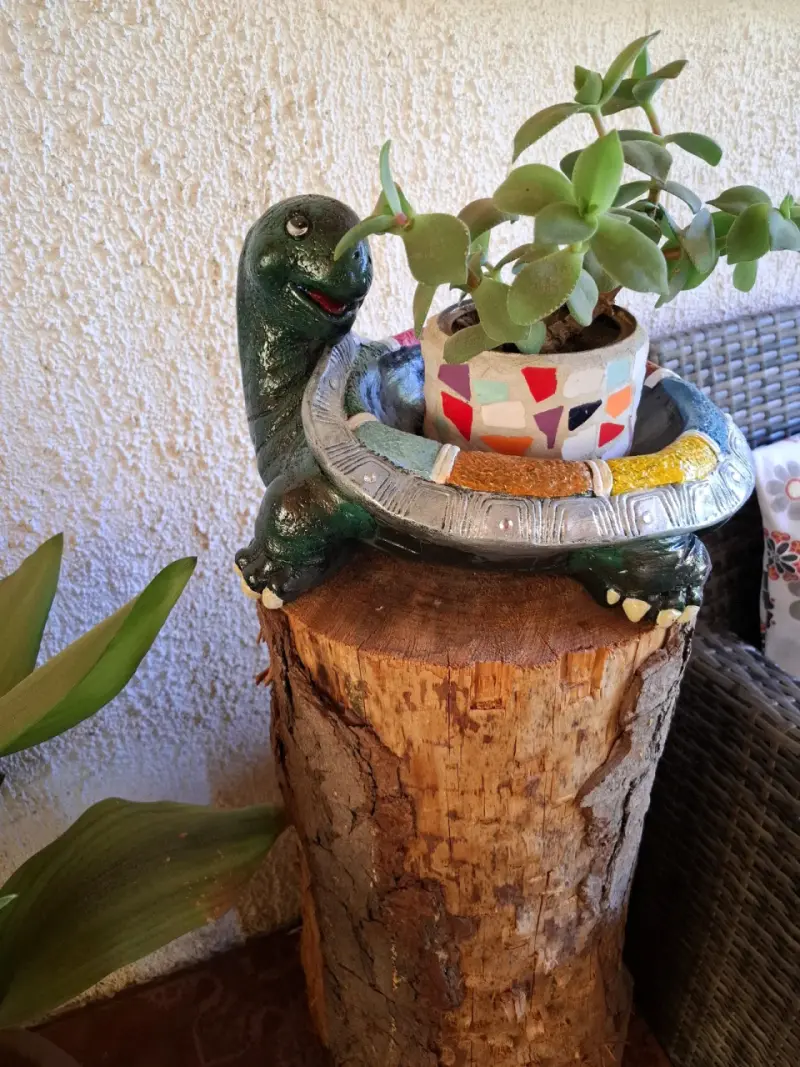 Macetero de tortuga con suculenta decorativa - 1