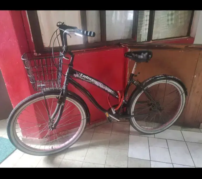 Bicicleta urbana con canasto y asiento cómodo