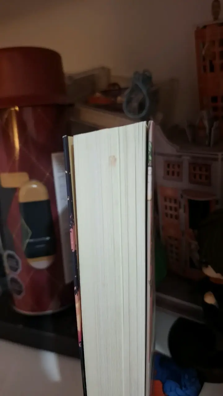 Libro 'Anne Sin Filtros' - 2