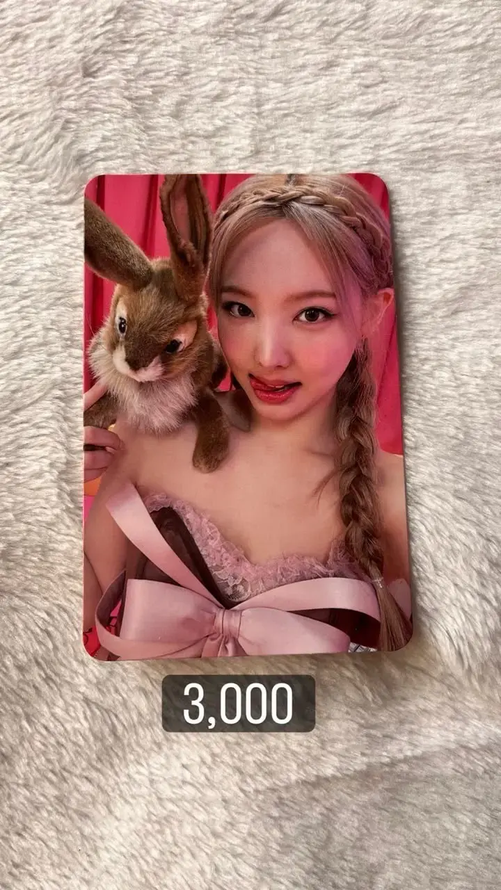 Tarjeta fotográfica de colección con conejo