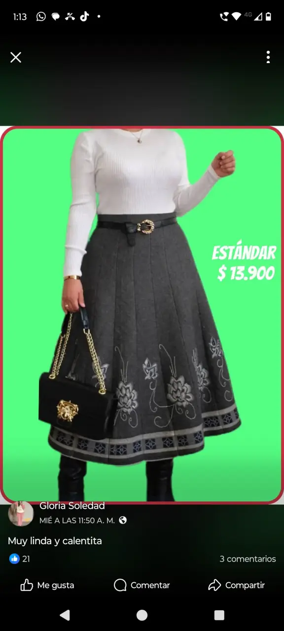 Falda gris con bordado floral elegante - 1