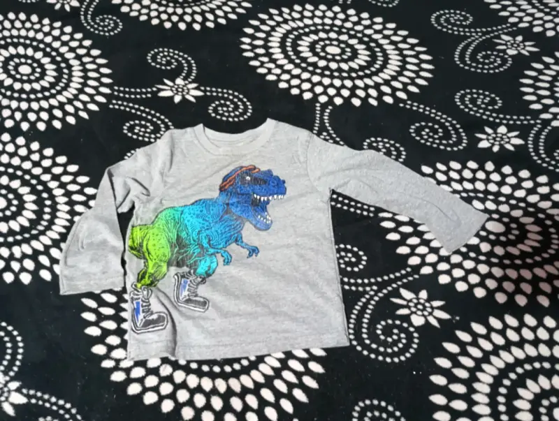 Polera infantil gris con dinosaurio colorido - 1