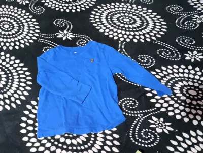 Polera infantil gris con dinosaurio colorido - miniatura 2