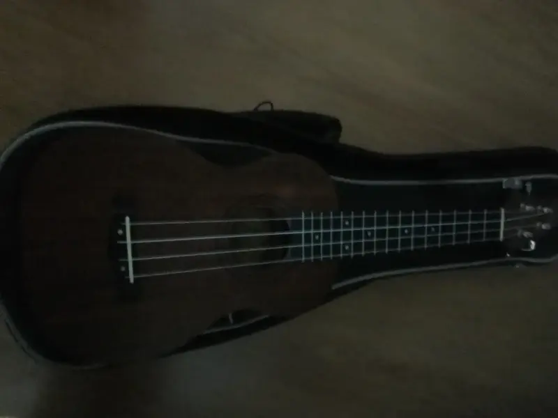 Ukulele acústico con funda - 1