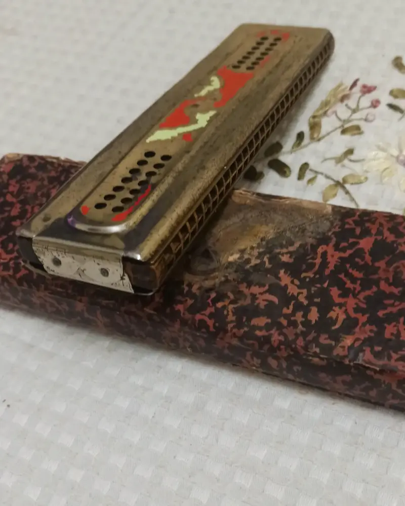 Armónica vintage con estuche original M hohner - 6