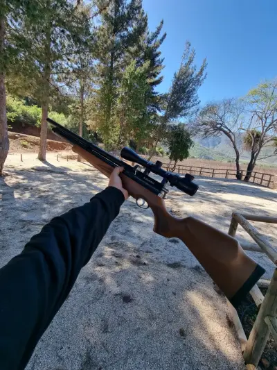 Rifle de aire comprimido m22 de madera - miniatura 3