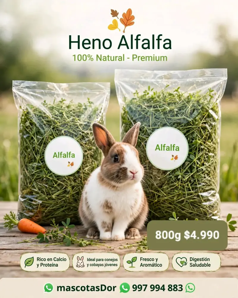 Heno de Alfalfa 100% Natural para Mascotas - 1