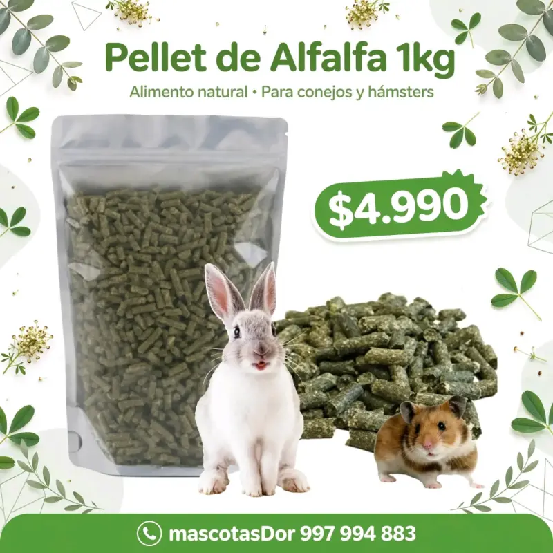 Heno de Alfalfa 100% Natural para Mascotas - 2