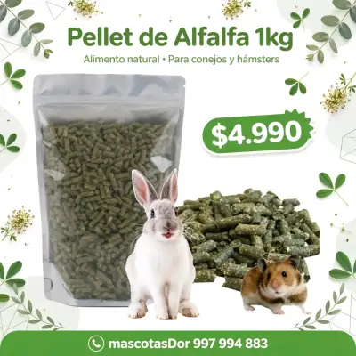 Heno de Alfalfa 100% Natural para Mascotas - miniatura 2