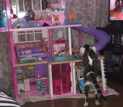 Casa de muñecas grande con tobogán y accesorios - miniatura 1