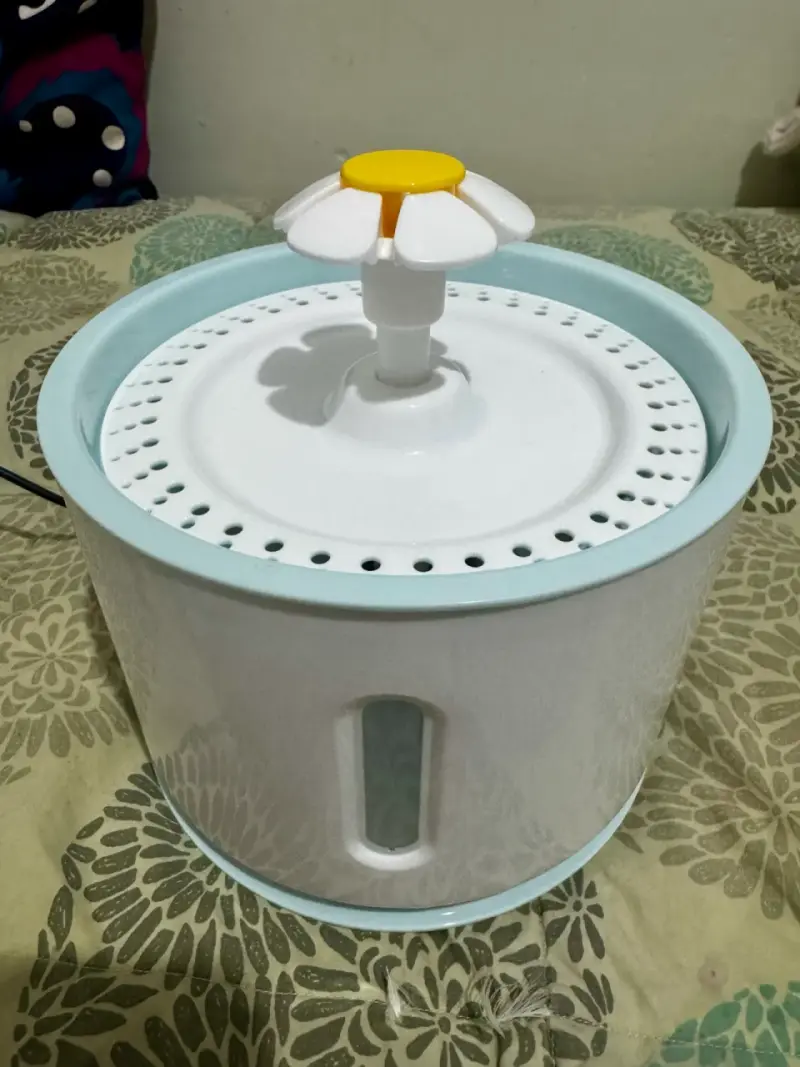 Fuente de agua para gatos - 1