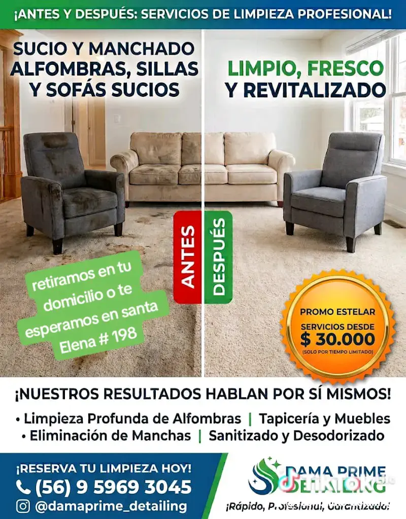 Servicio de limpieza profesional de alfombras y muebles