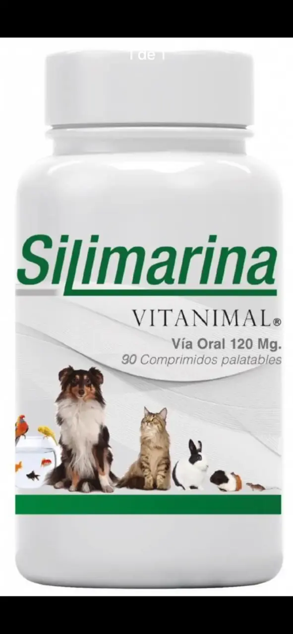 Suplemento Silimarina conversable