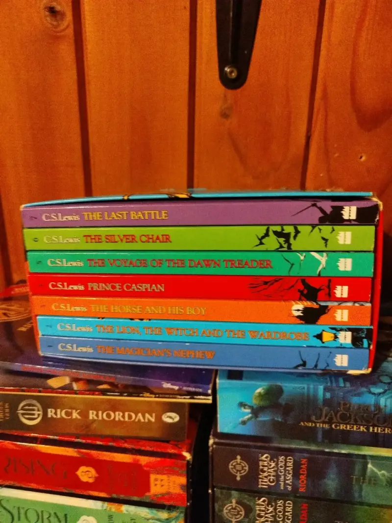 Colección de libros juveniles en inglés - 4