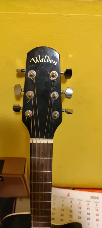 Guitarra acústica negra Walden en buen estado - miniatura 2