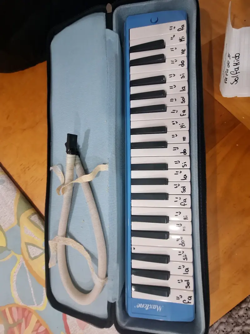 Melódica de 32 teclas con estuche azul - 1