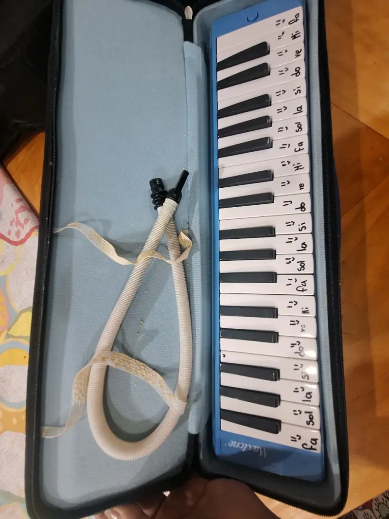 Melódica de 32 teclas con estuche azul - 2