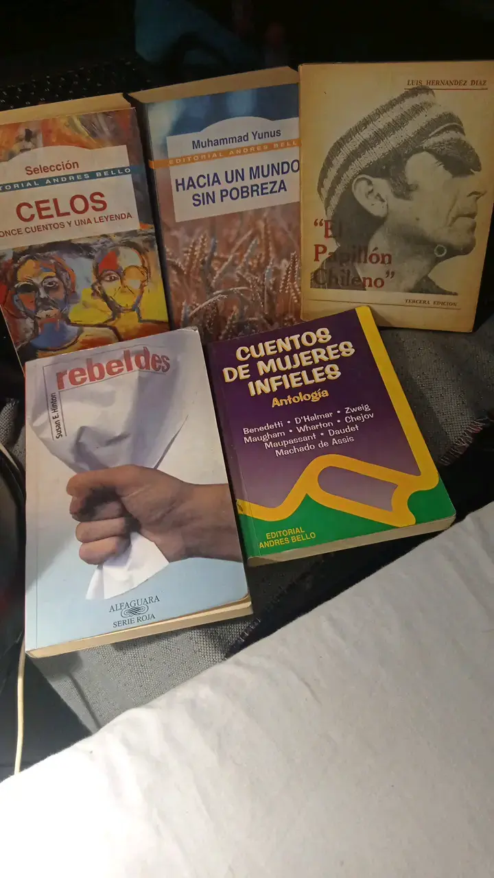 Lote de libros variados de literatura y ensayo